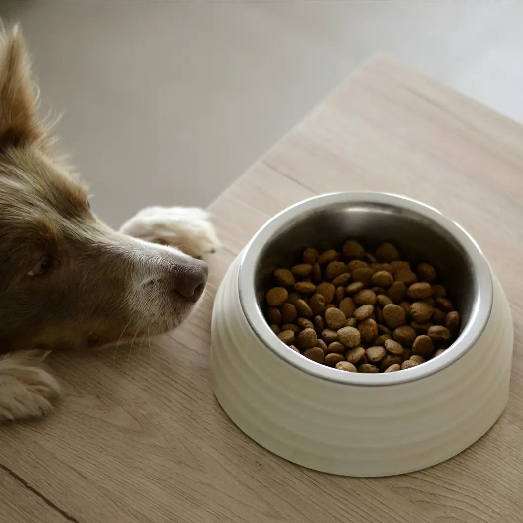 Healthy Dog Premium Dog Food
