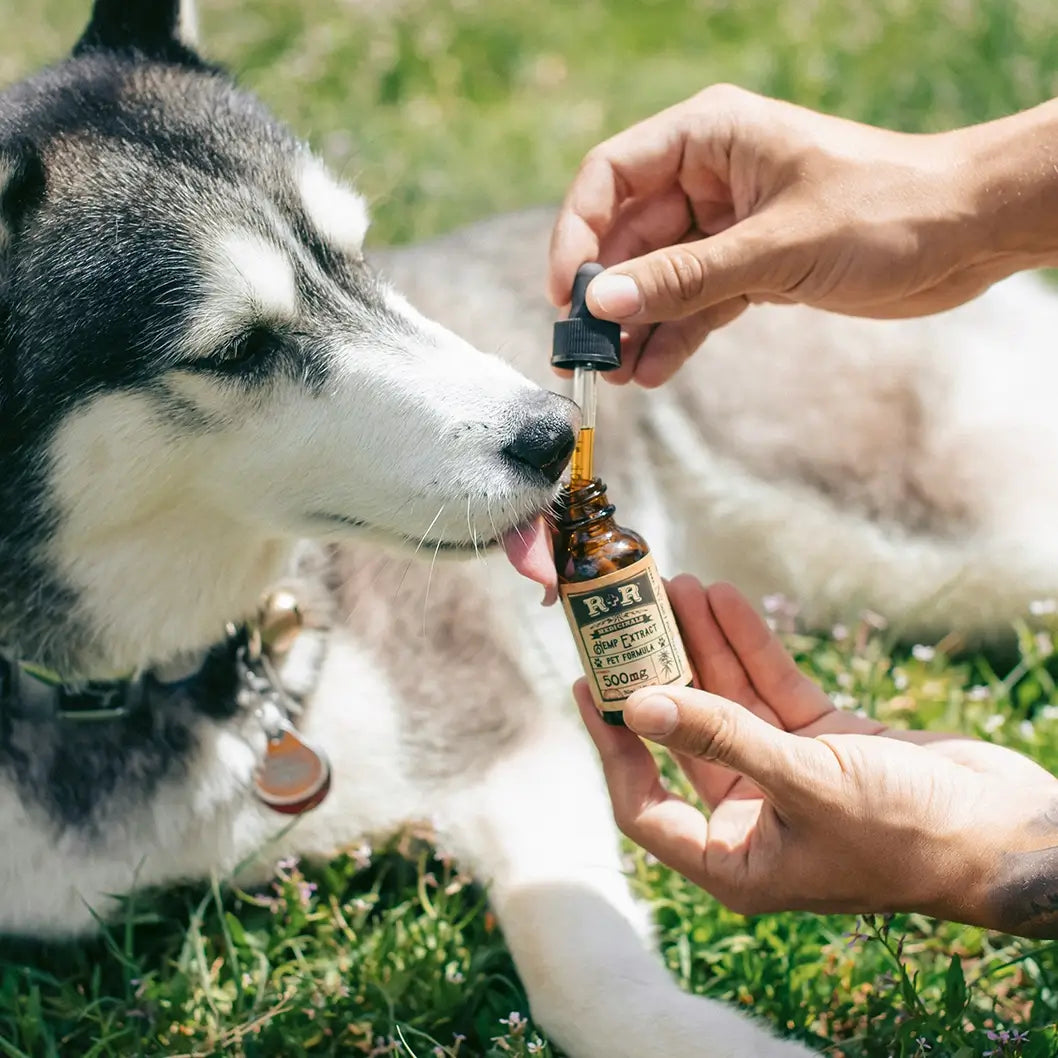 All Dog Supplements & Natural Nutrition