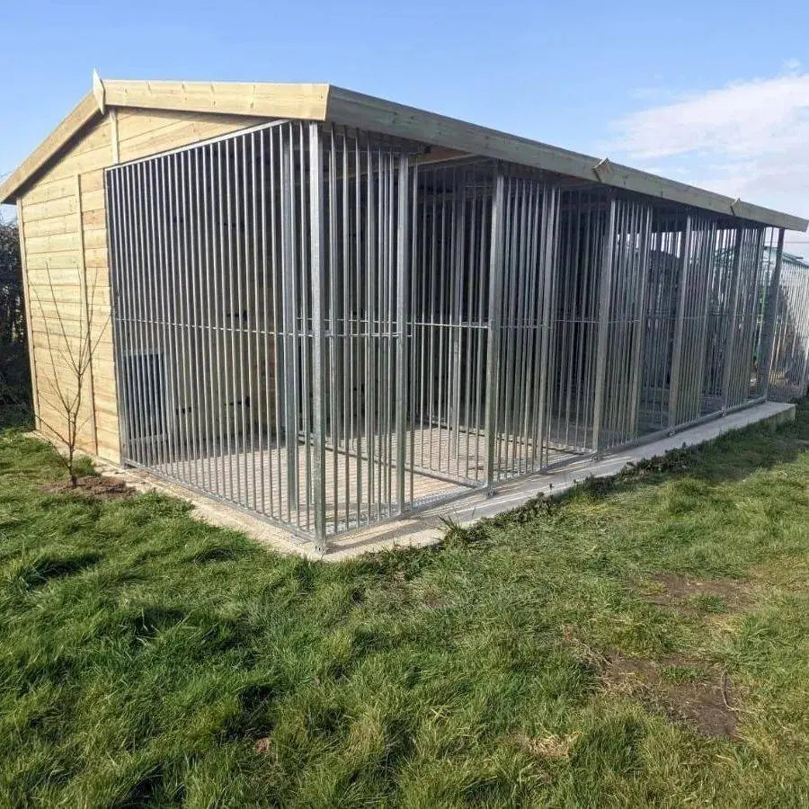 20 X 10 ft Five Bay Dog Kennel Doghealth