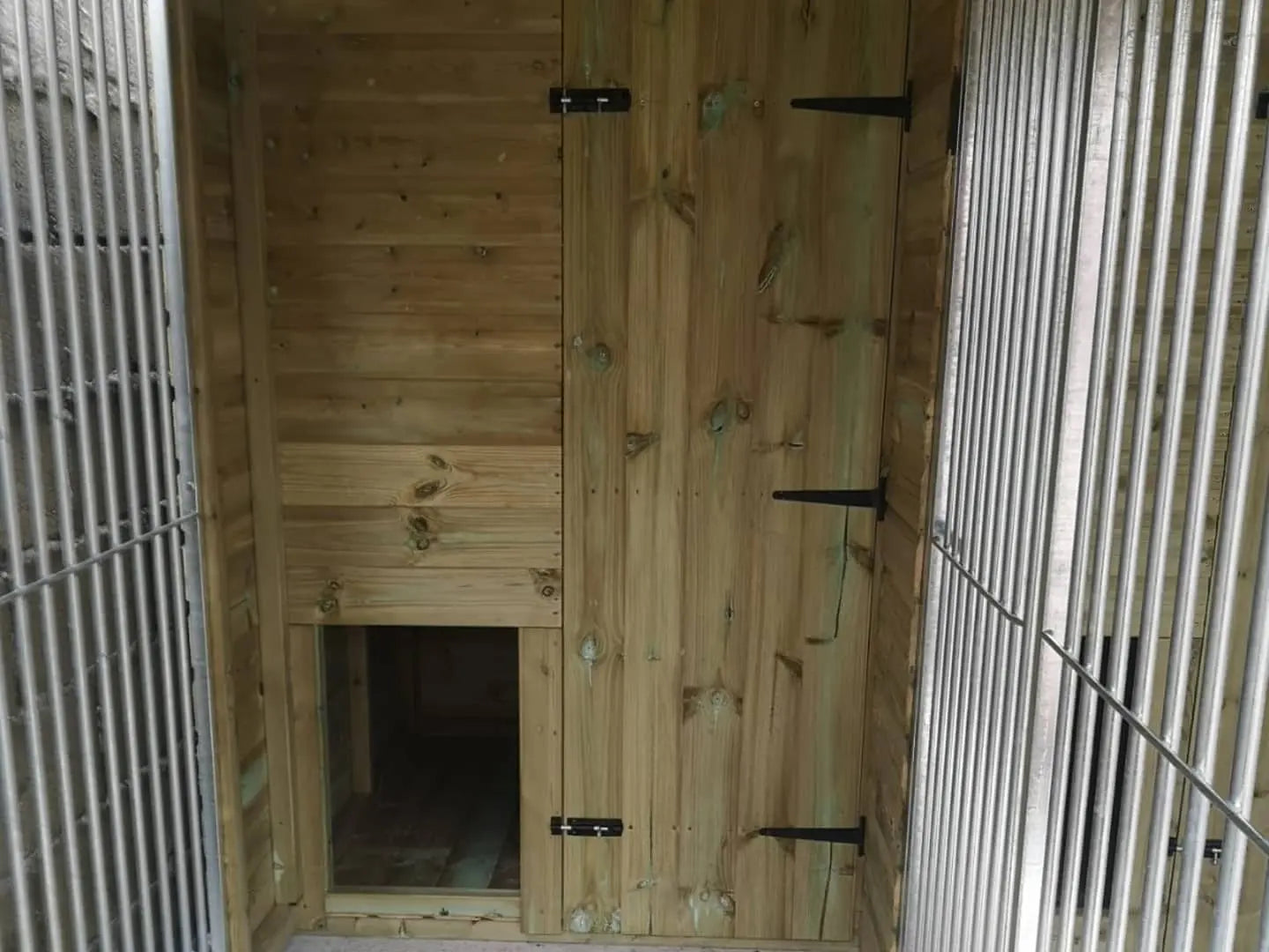 20 X 10 ft Five Bay Dog Kennel Doghealth