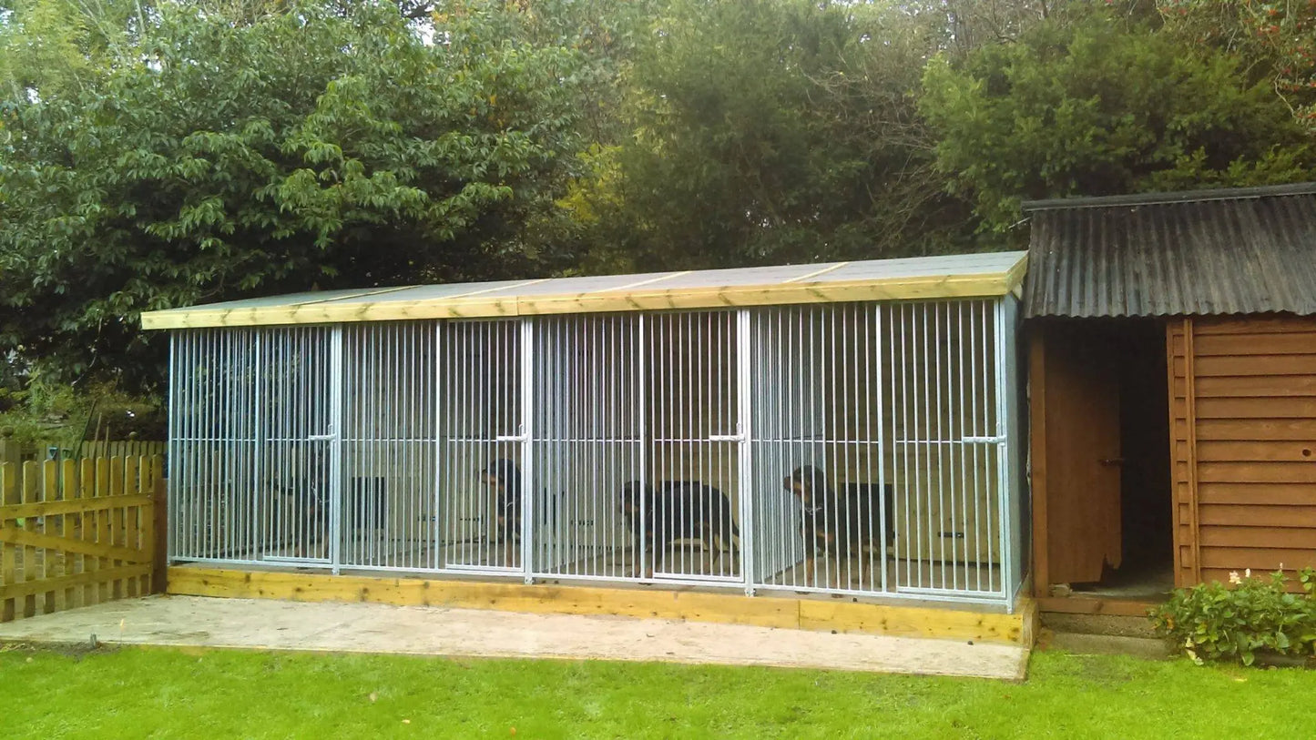20 X 8 ft Four Bay Dog Kennel Doghealth