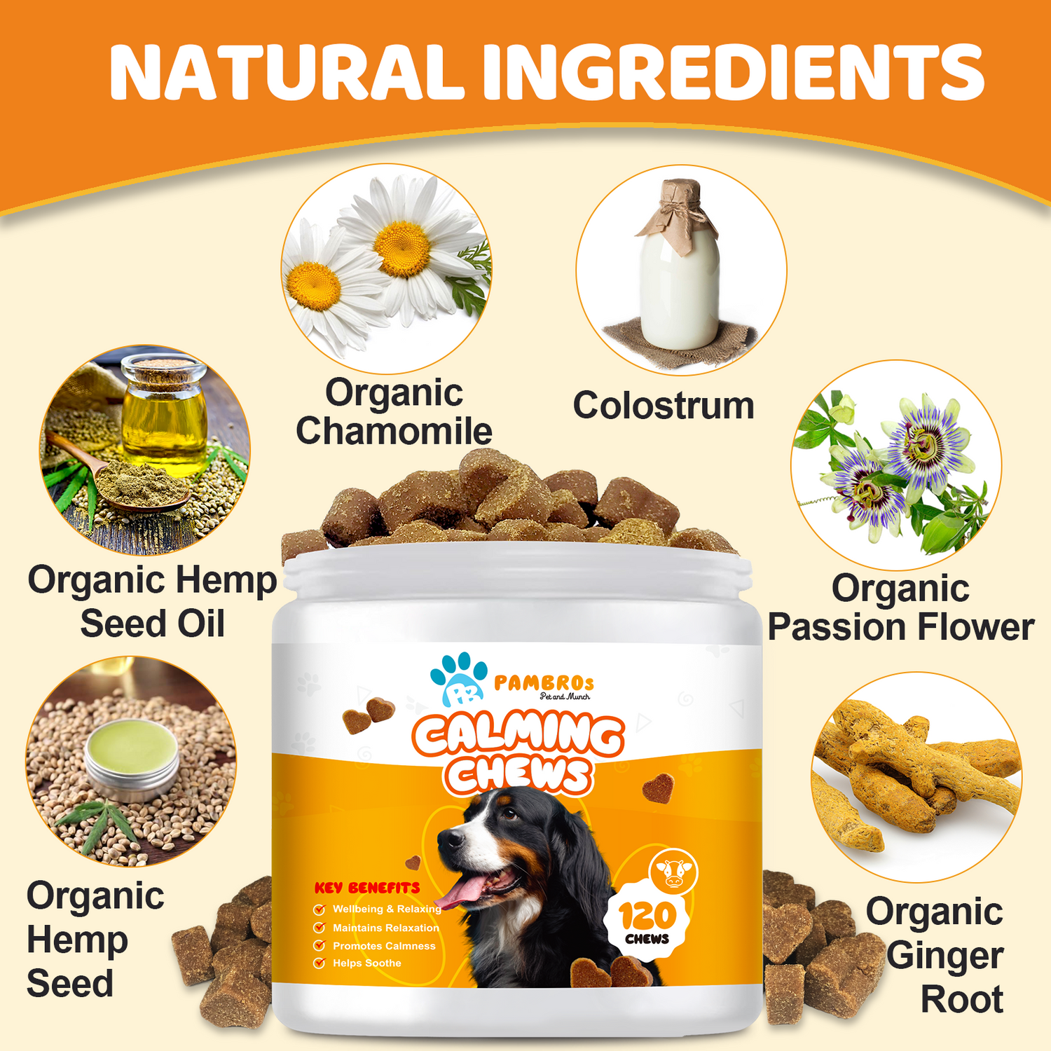 Natural Calming Chews for Dogs – Stress Relief, Anxiety & Relaxation Support