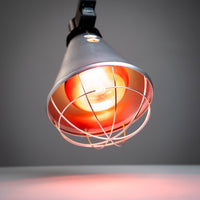 Infrared Heat Lamp Poultry, Puppies, Dog, Kittens Piglets Animals With 250W Bulb