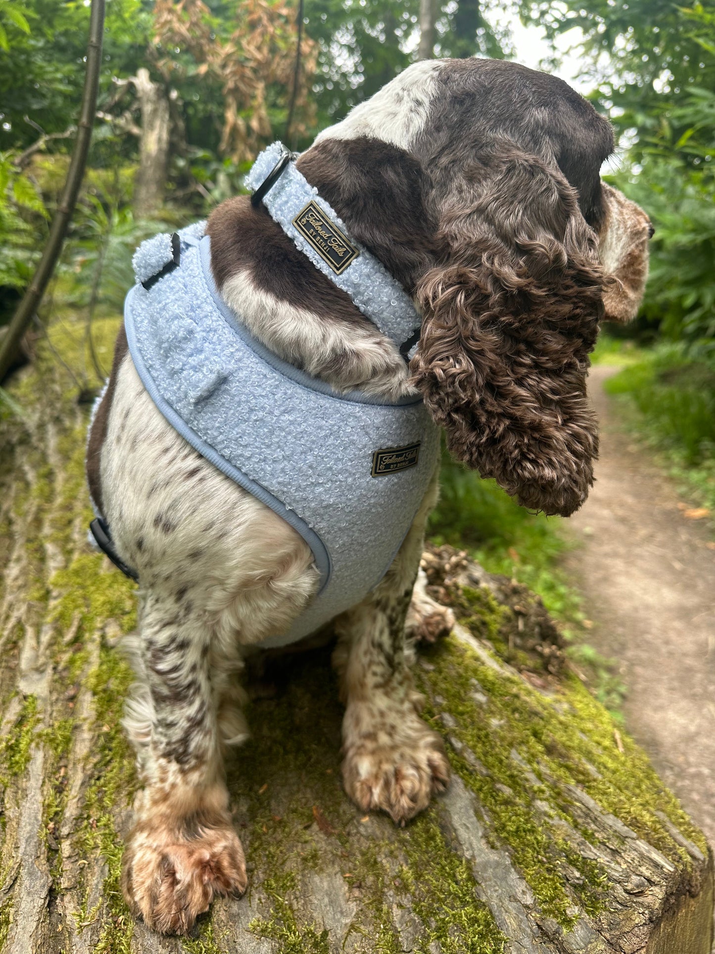 Aqua Dreams Adjustable Dog Harness