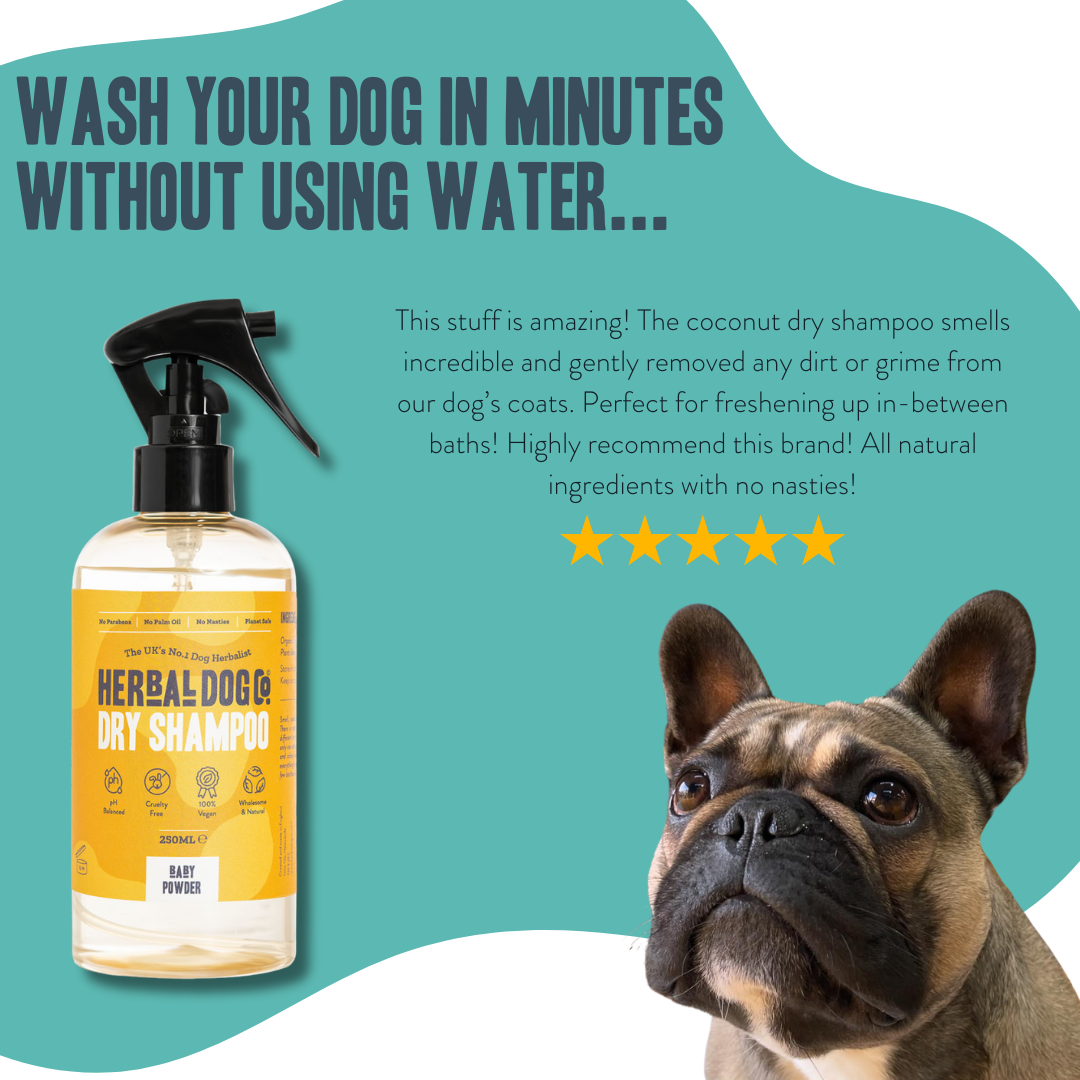 Coconut Dry Shampoo | The Herbal Dog Co