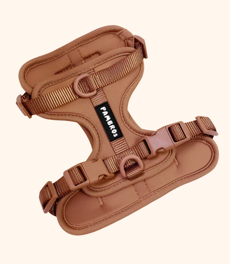 Premium Dog Harness and Lead Set