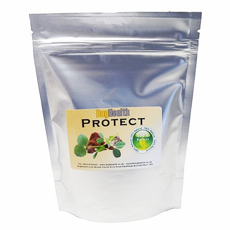 Protect probiotic for gut problems