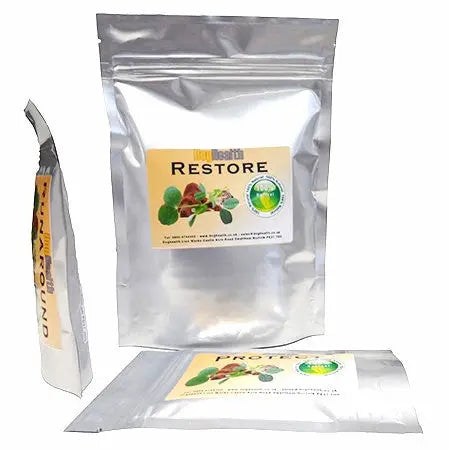 Protect probiotic for gut problems Dog Health
