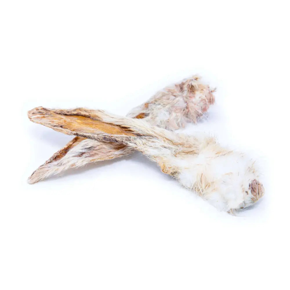 Are Rabbit Ears Good For Dogs