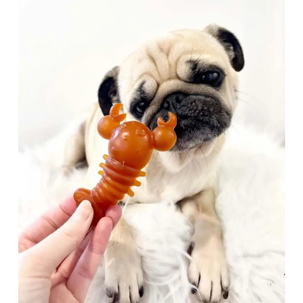 Dog Toys
