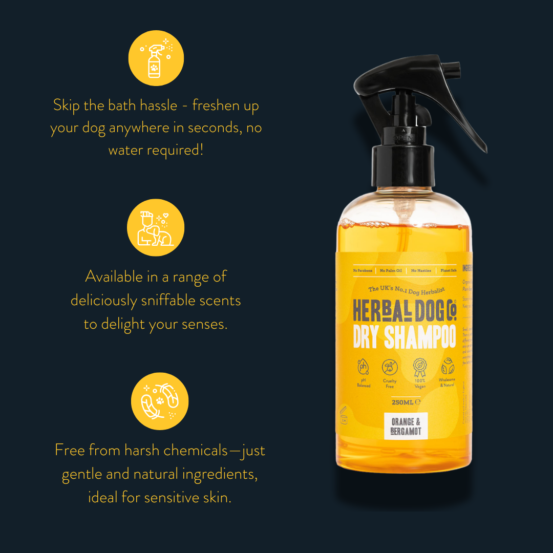 Baby Powder Dry Shampoo | The Herbal Dog Co