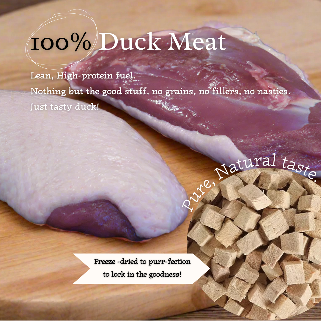 Ducky Delights - 100% Freeze-Dried Duck Treats | Novel Protein | Tail Tips UK