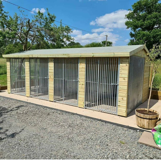 20 X 8 ft Four Bay Dog Kennel Doghealth