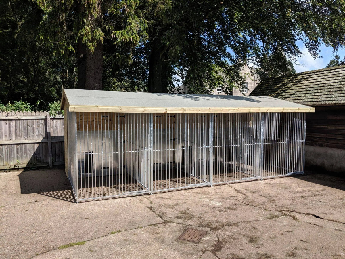 20 X 12 ft Four Bay Dog Kennel Doghealth