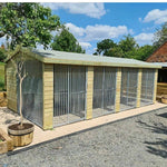 20 X 10 ft Four Bay Dog Kennel Doghealth