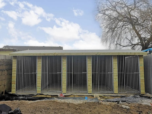 20 X 12 ft Five Bay Dog Kennel Doghealth