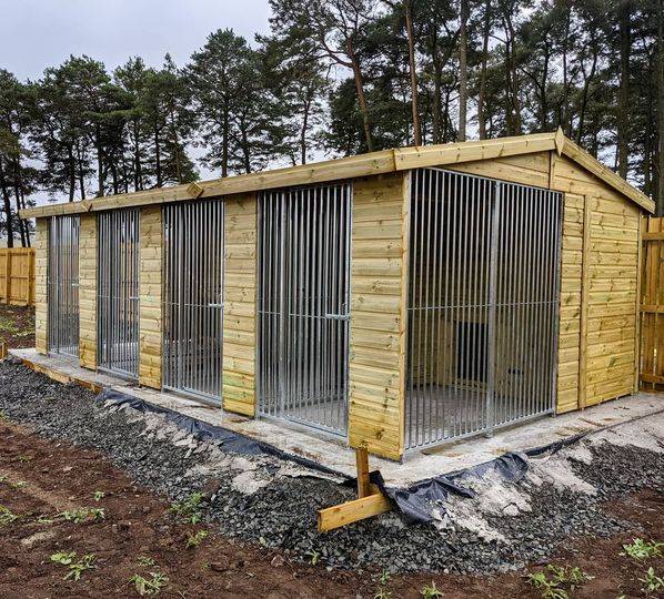 20 X 10 ft Four Bay Dog Kennel Doghealth