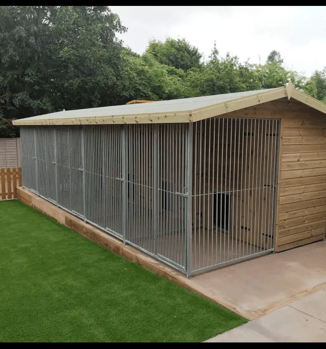 20 X 10 ft Five Bay Dog Kennel Doghealth
