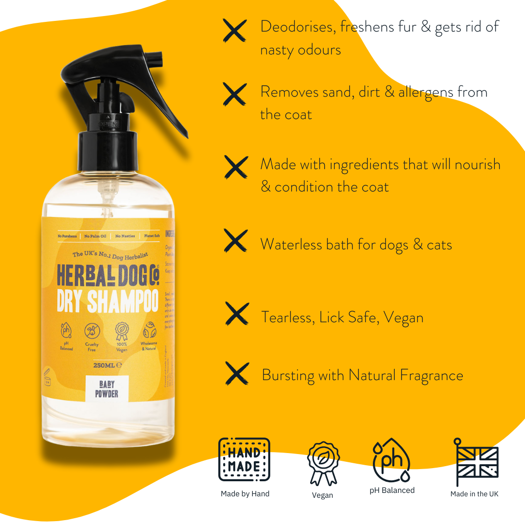 Coconut Dry Shampoo | The Herbal Dog Co