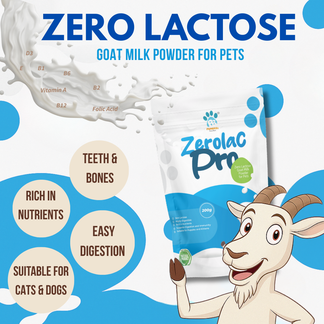 Zero-Lactose Goat Milk Powder for Dogs & Cats - Digestive & Immune Health Supplement