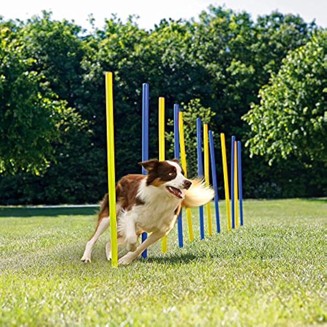 pet prime Outdoor Dog Obstacle Agility Training Exercise Equipment Kit Dog Agility Equipment Set - 12PCS Weave Pole Set