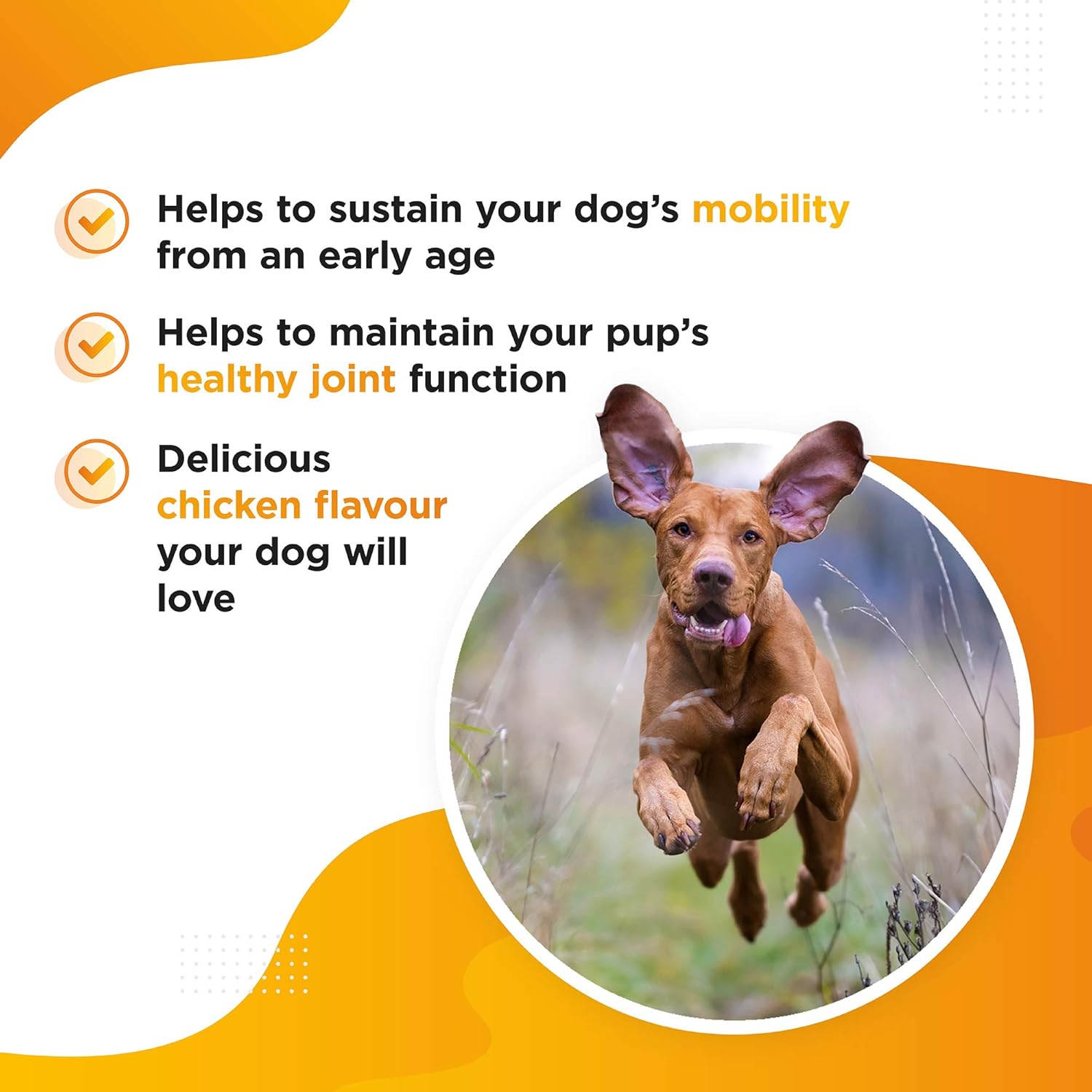 MOBI – Hip and Joint Mobility Supplement for Dogs