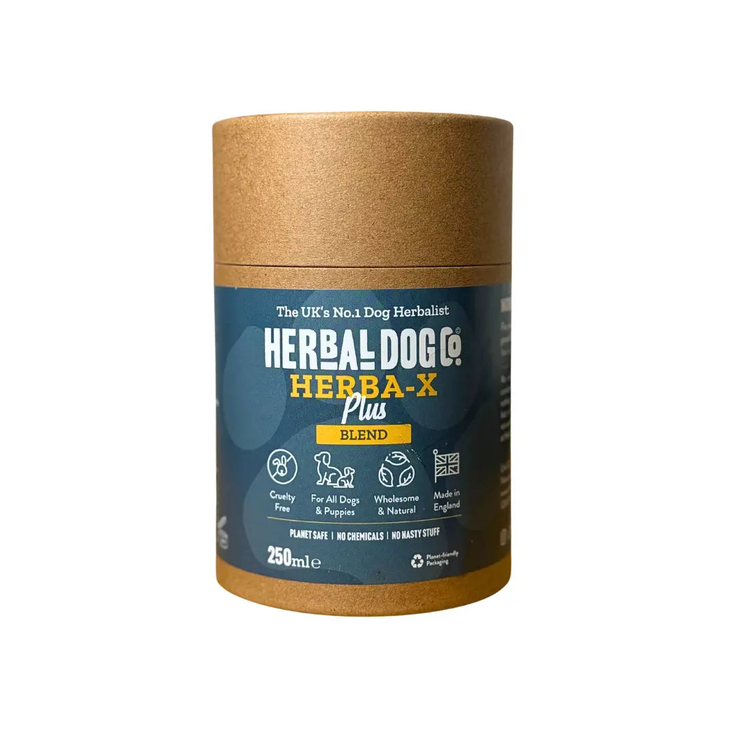 Herba X Plus wormer and flea | The Herbal Dog Co