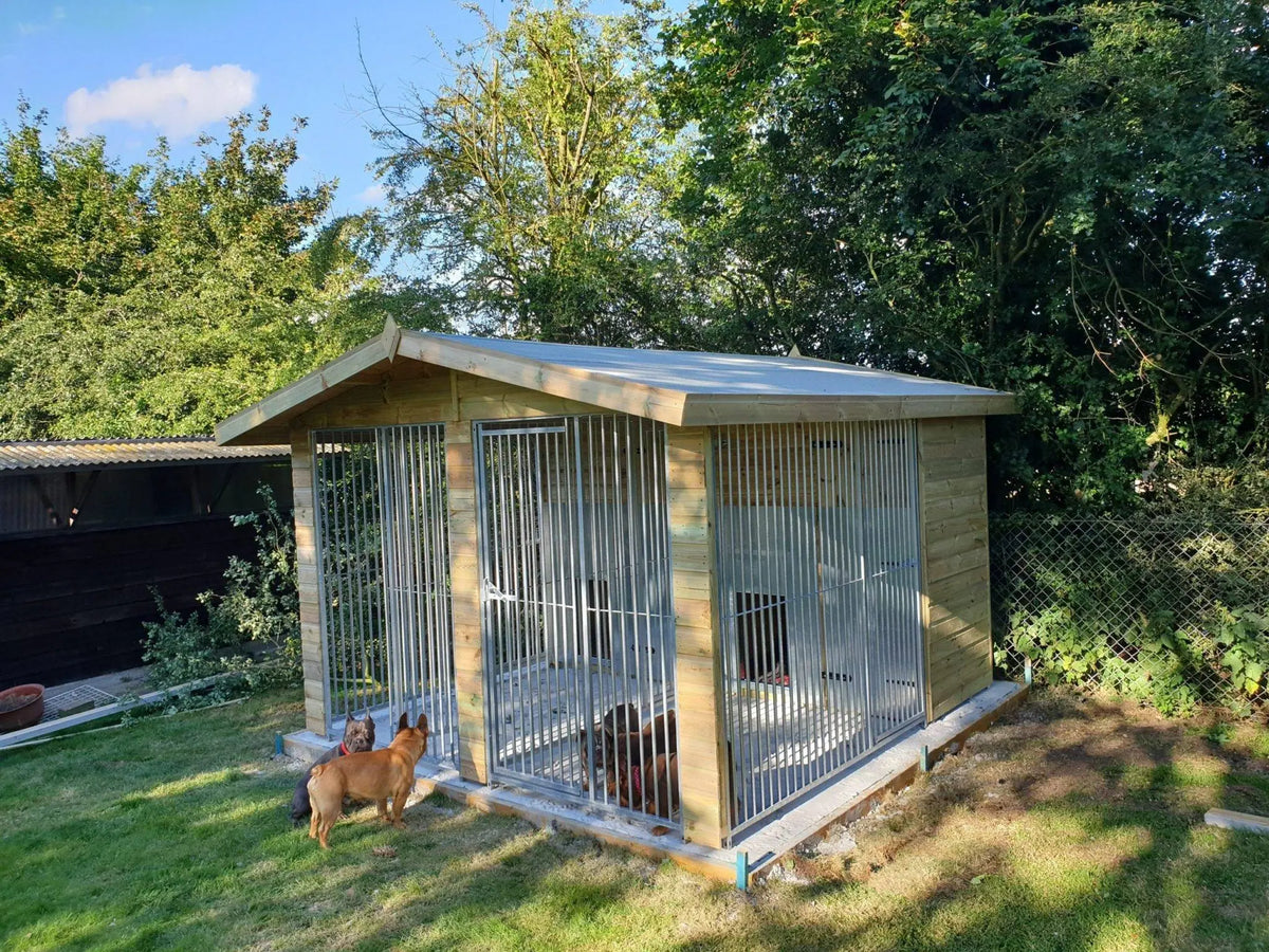 10 X 8 ft Duo Dog Kennel Doghealth