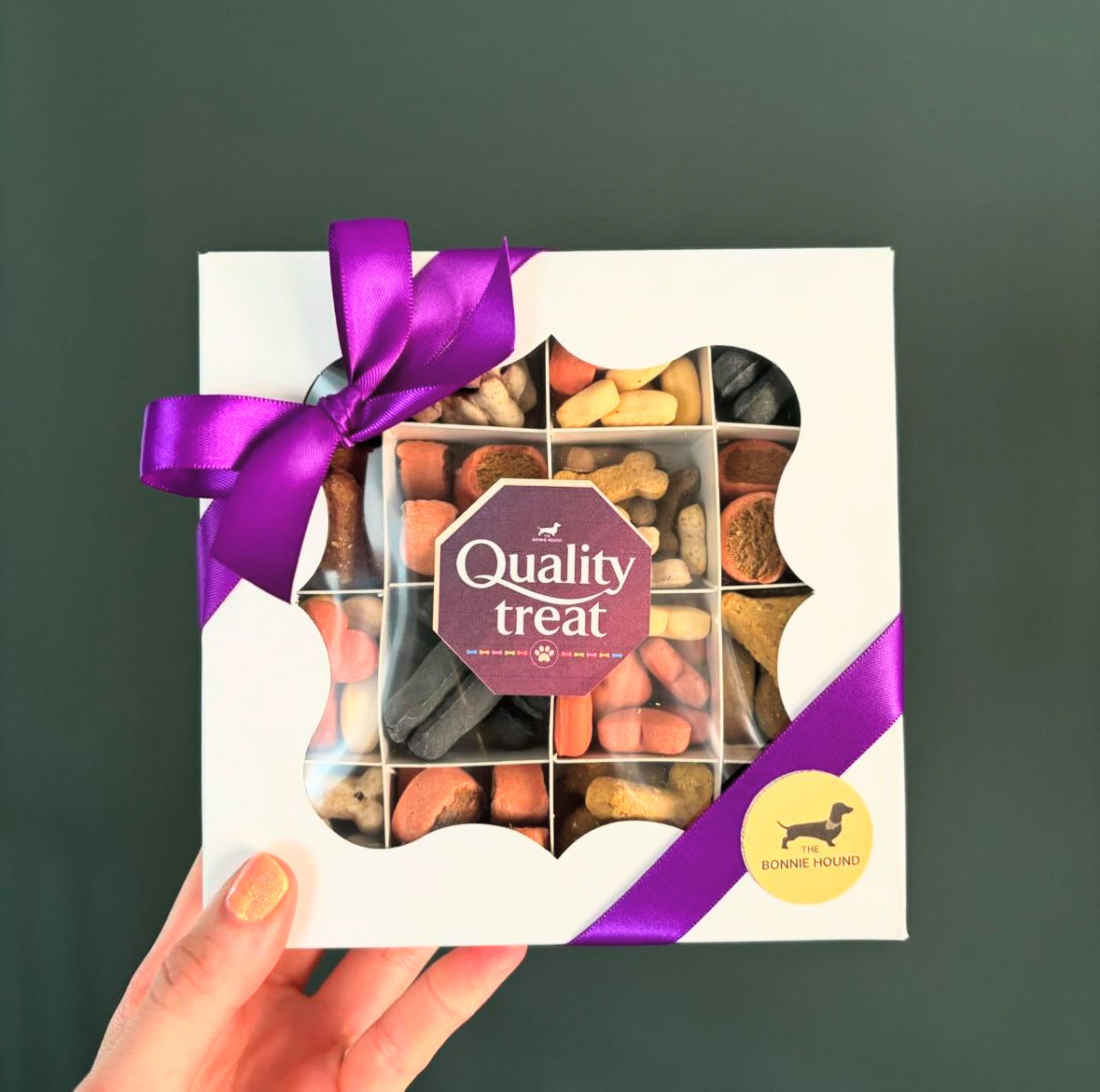 Quality Treat Box for Dogs