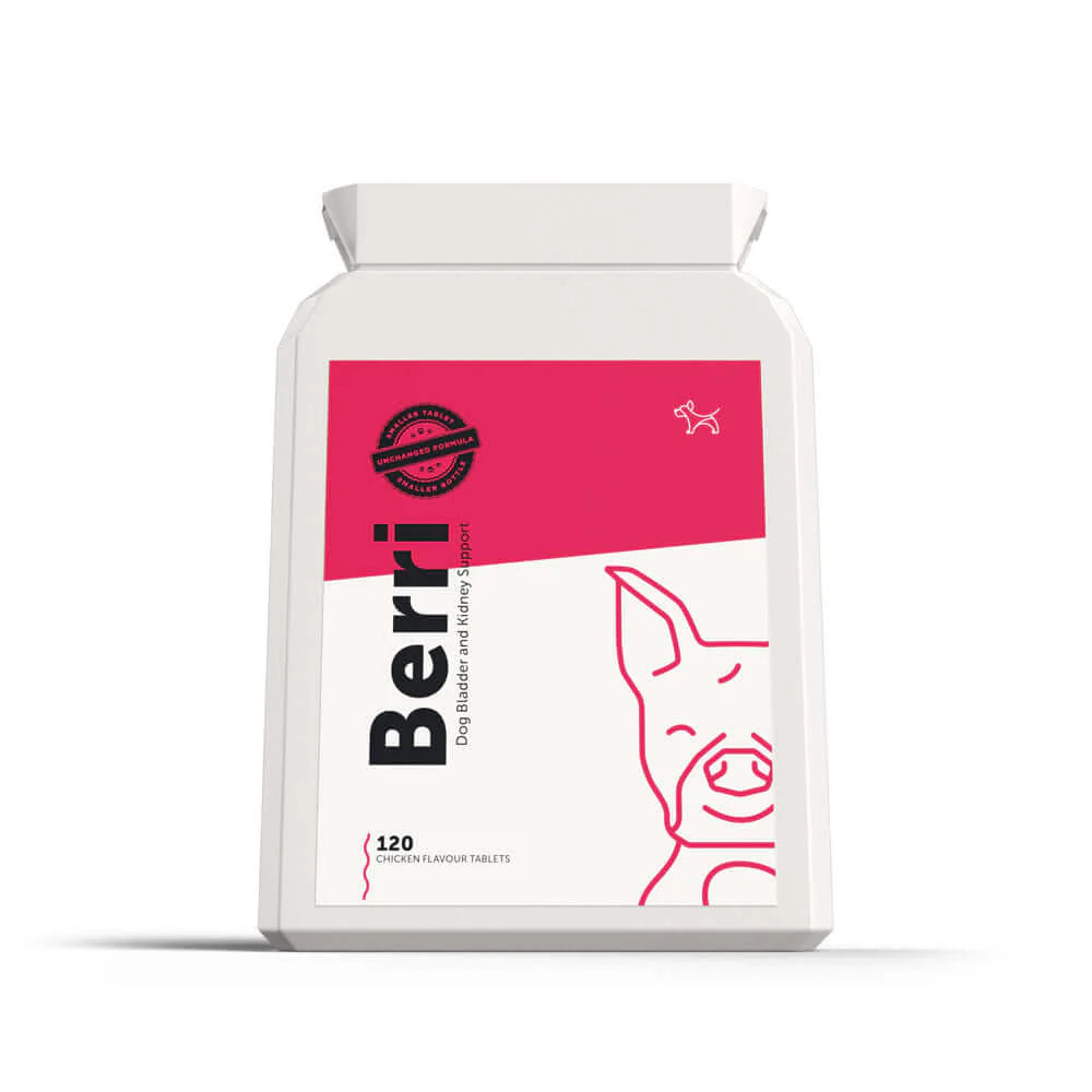BERRI – Bladder & Kidney Cranberry Supplement for Dogs