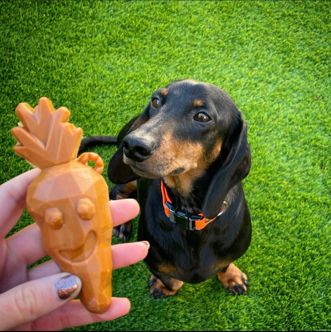 Rosewood Carrot (x2) and Broccoli (x2) Dog Chew Treats
