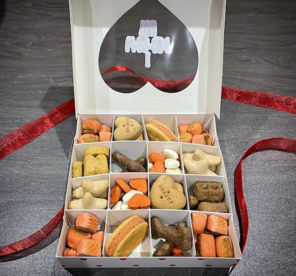 Quality Treat Box for Dogs