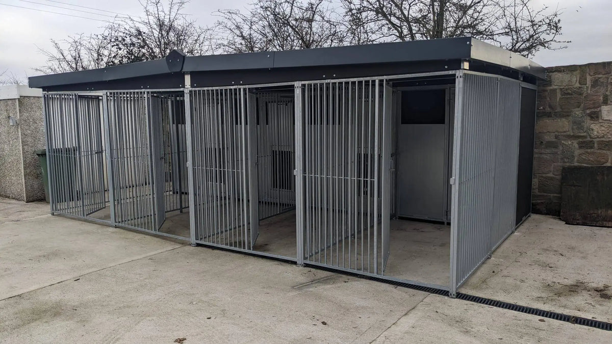 20 X 10 ft Four Bay Eco Thermal Plastic Dog Kennel Doghealth