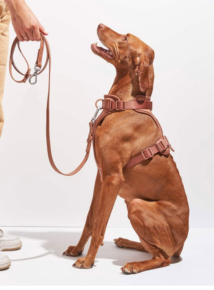 Premium Dog Harness and Lead Set