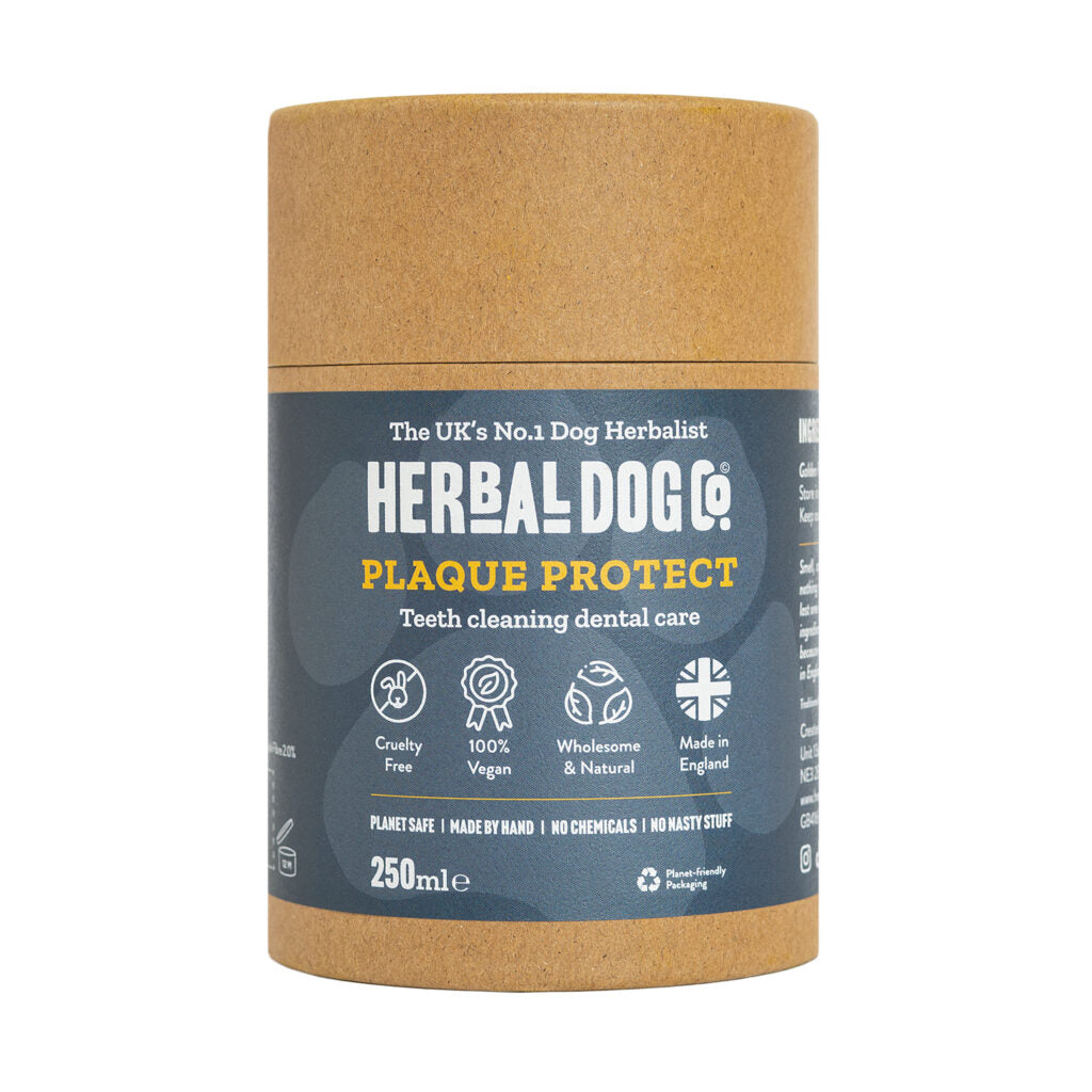 Tooth Paste in a Tub | The Herbal Dog Co