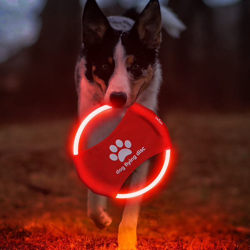 Pet LED Rechargeable Frisbee