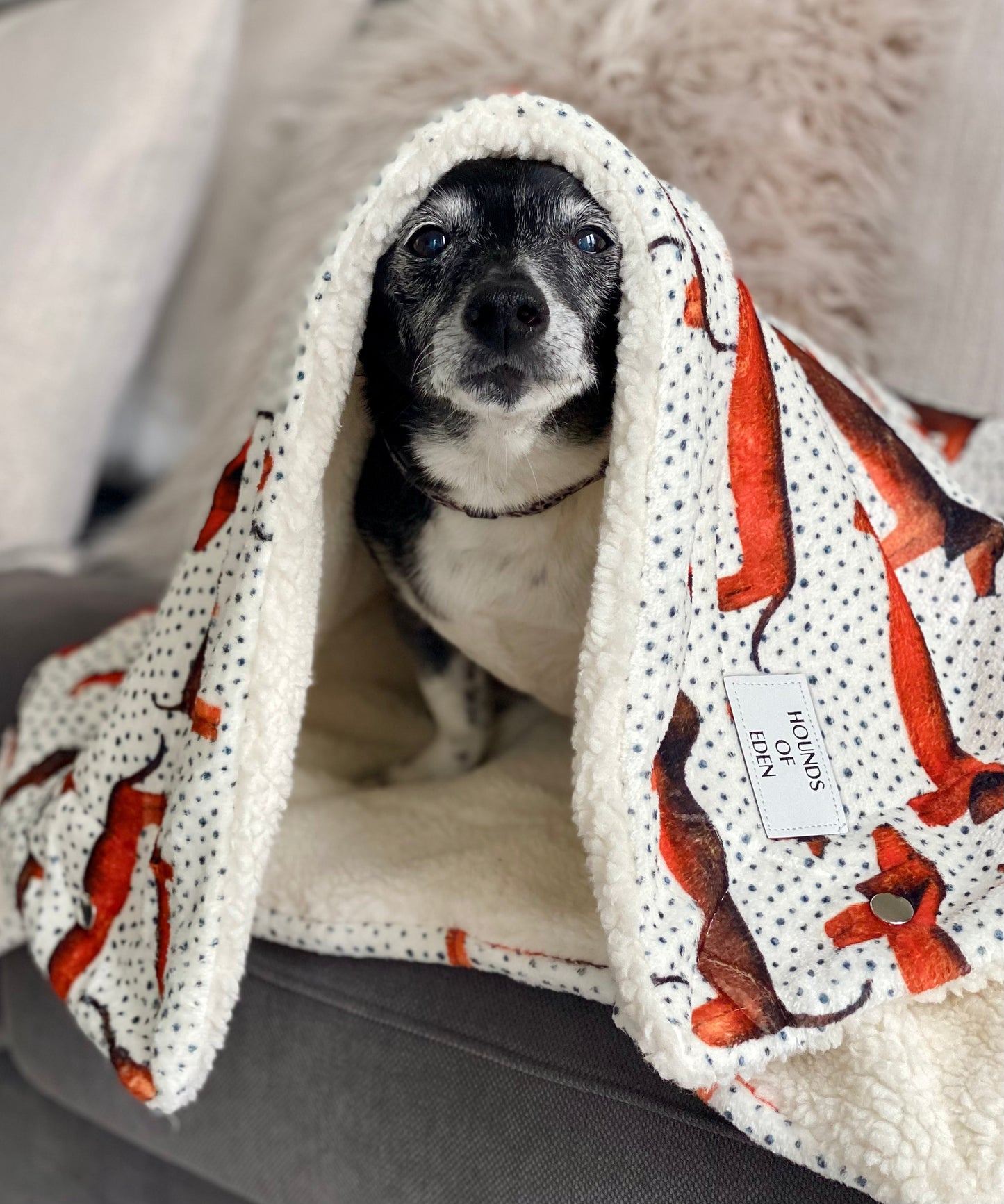 Sausage Dog Snuggle Blanket