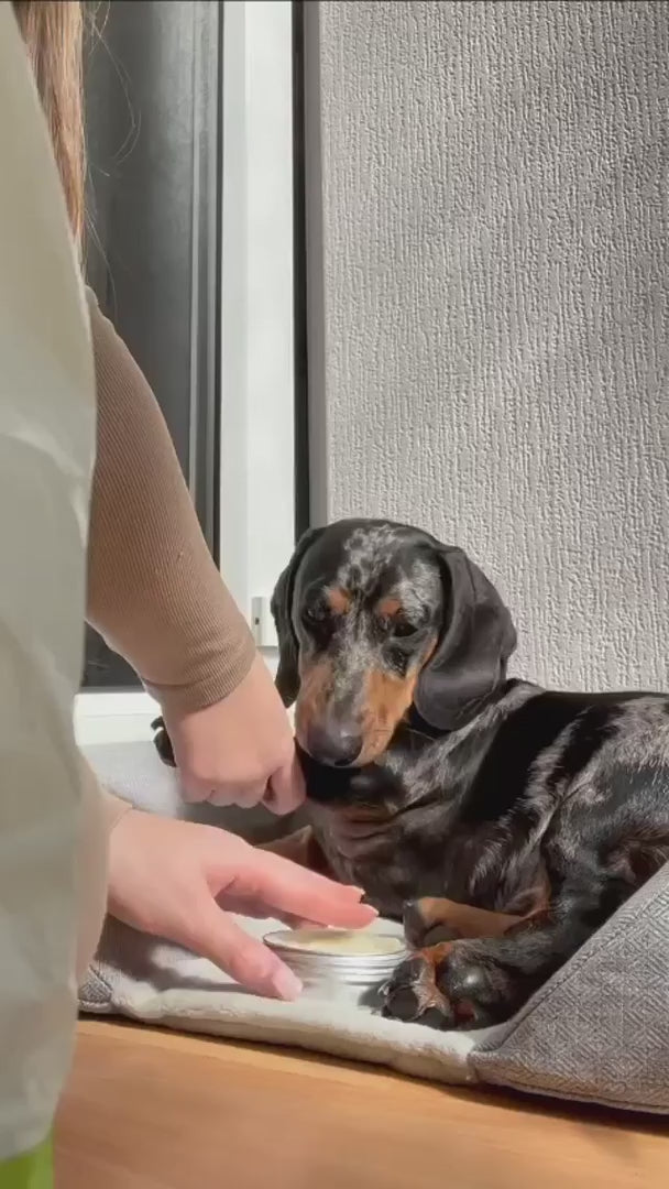 DOGSLIFE Protective Paw & Nose Balm