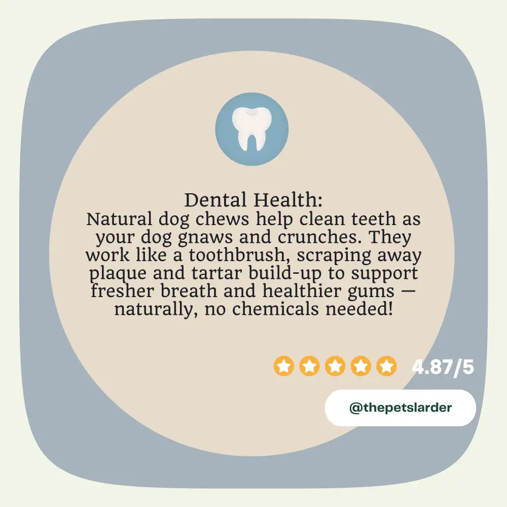 Turkey Neck Natural Meat Chew For Dogs