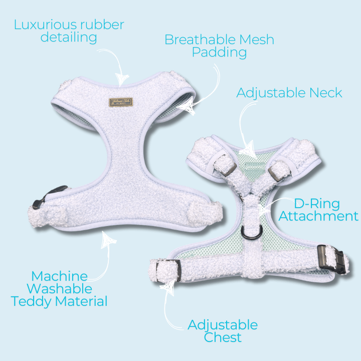 Aqua Dreams Adjustable Dog Harness