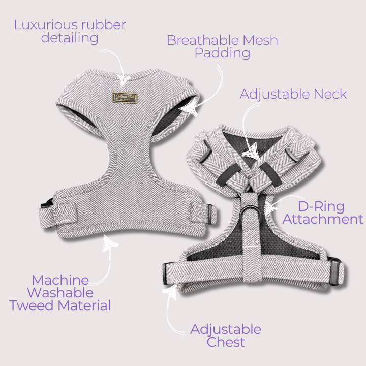 Noir Luxe Adjustable Dog Harness