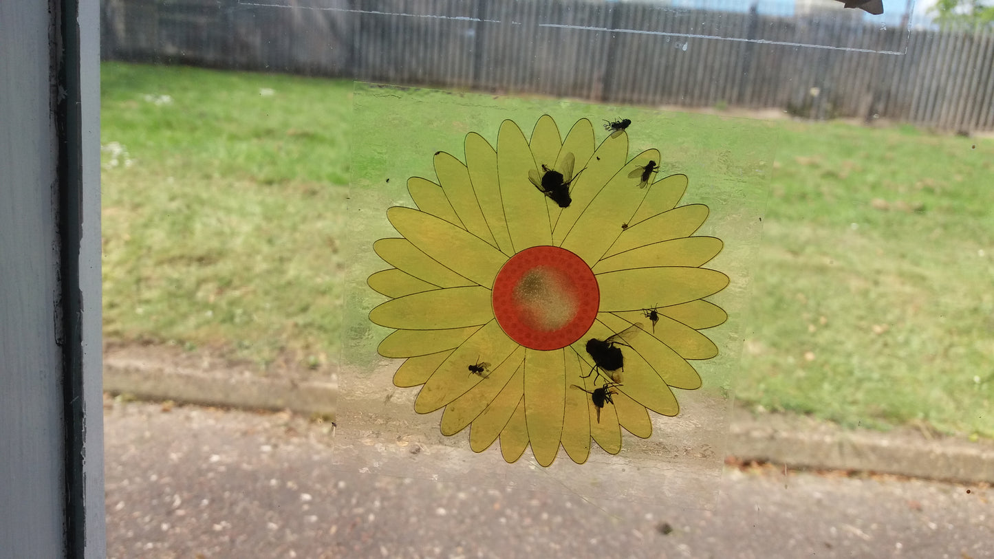 Non-toxic Flytrap Sunflower Window Stickers
