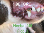 Nil Plaque for oral hygiene and plaque Dog Health