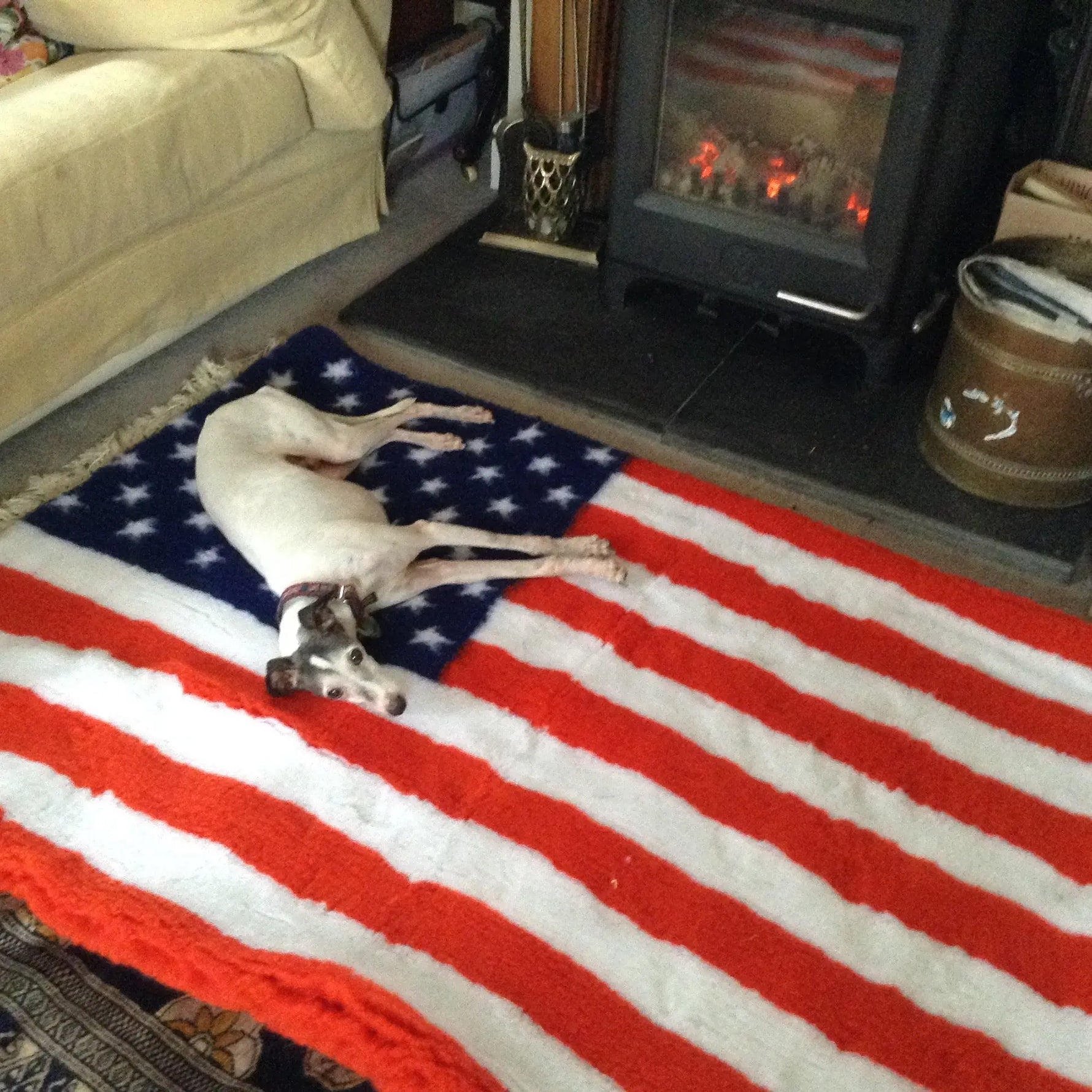 Pre cut Bedding for cages.