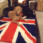 Pre cut Bedding for cages.