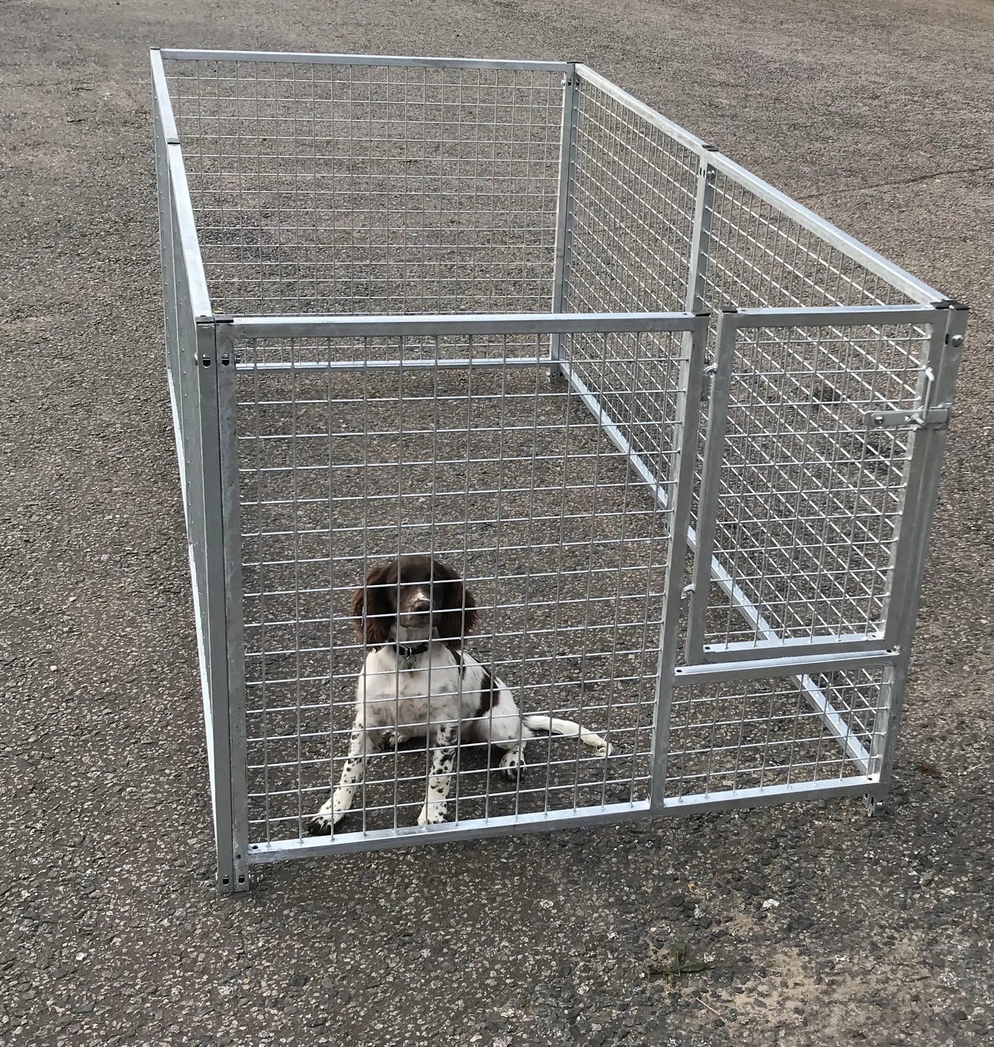 Galvanised Puppy Pen  2.4m x 2.4m Doghealth