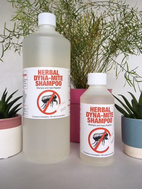 Dyna-mite Herbal Flea Shampoo New & Improved Formula.
