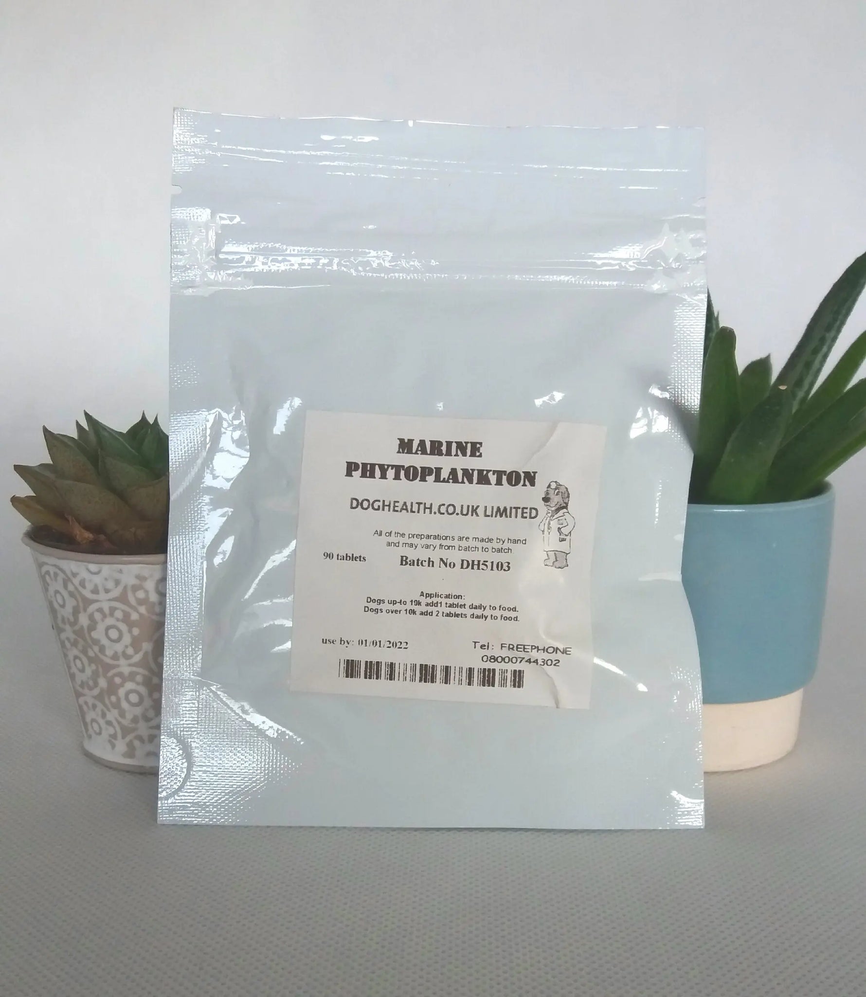 NEW! Marine Phytoplankton Capsules Doghealth