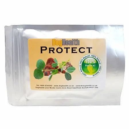 Protect probiotic for gut problems Dog Health